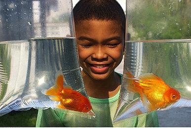 分析师：微软并没有输给索尼 业务目标更加长远